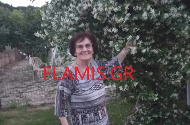 Πάτρα: Θλίψη για τον θάνατο 86χρονης σε τροχαίο – Έσωσε 7χρονη