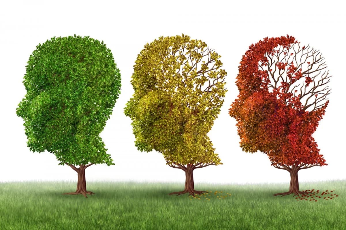 Alzheimer: Frühzeitige Diagnose und Behandlung für eine bessere Lebensqualität