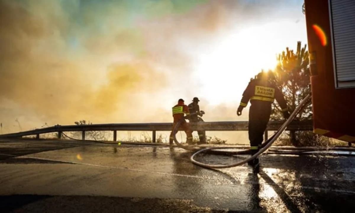 Feuer im Bezirk Nikosia unter Kontrolle