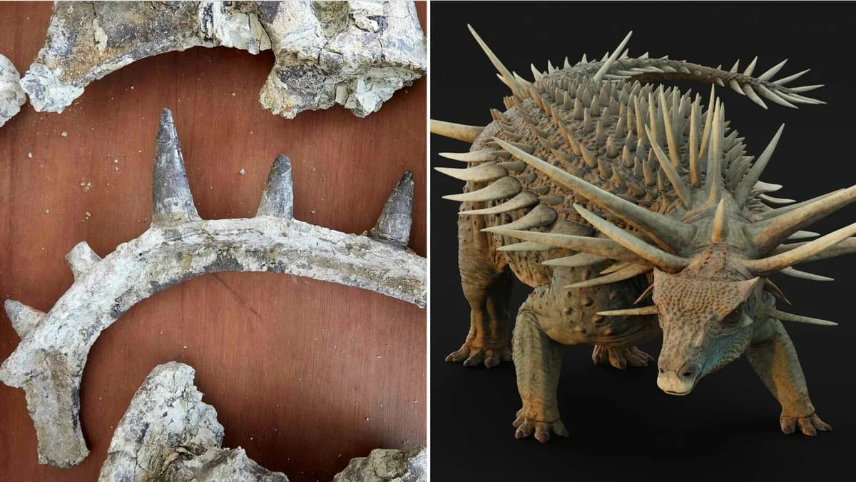 Descubierto el dinosaurio "más extraño" cubierto de espinas
