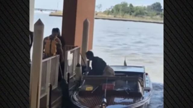 Jude Law Has Minor Accident in Venice: Stumbles off Water Taxi