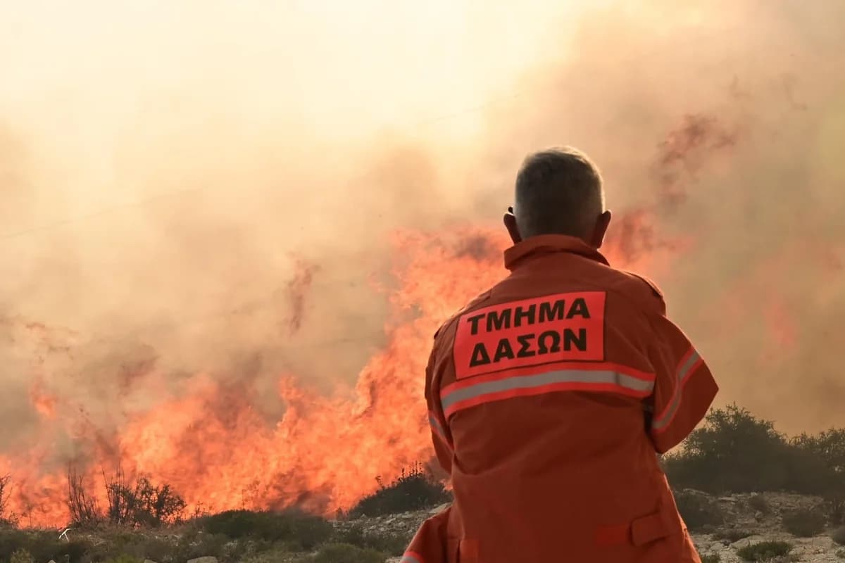 Incendio en Gerasa, Limassol: Ocho Decares de Tierra Destruidos