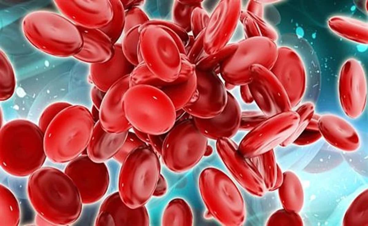 Neue Forschung gibt Hoffnung auf Prävention von Leukämie und myelodysplastischen Syndromen