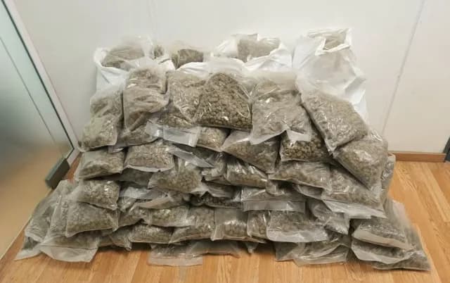 Two Arrested for Importing 62 kg of Cannabis from Canada