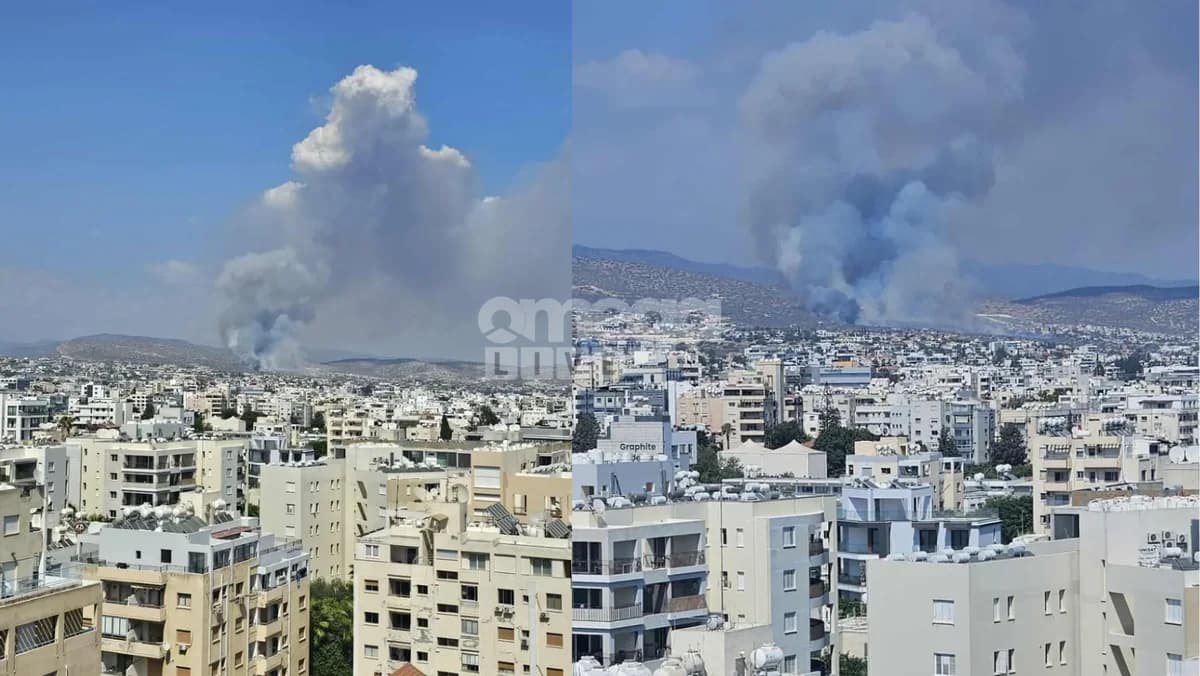 Λεμεσός: Οριοθετήθηκε η πυρκαγιά στην Μουτταγιάκα