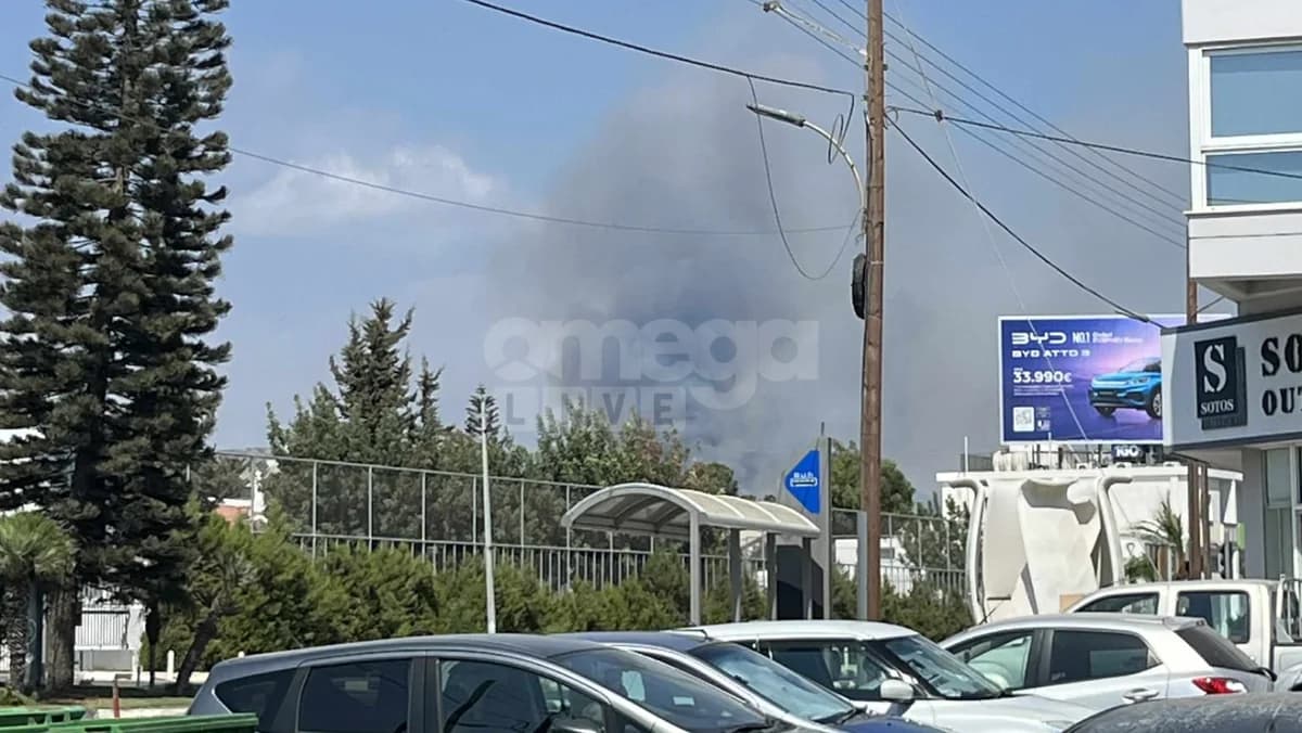שריפה בלימסול: 11 מטוסים משתתפים במאמצי כיבוי