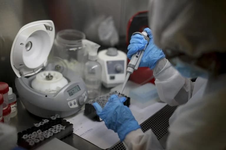 ECDC: Επικίνδυνος μύκητας Candidozyma auris εξαπλώνεται στην Ευρώπη, κρούσματα και στην Κύπρο