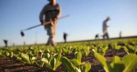 Activación del Consejo de Jóvenes Agricultores de Chipre con apoyo ministerial