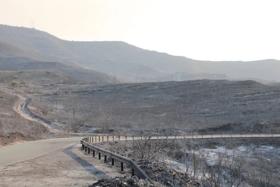 Ευχαριστίες Γονέων Λεμεσού στον ΔΗΣΥ για στήριξη πυρόπληκτων μαθητών