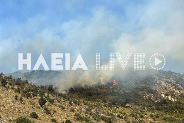 Feuer in Olympia: Brand in der Region Spartoulia