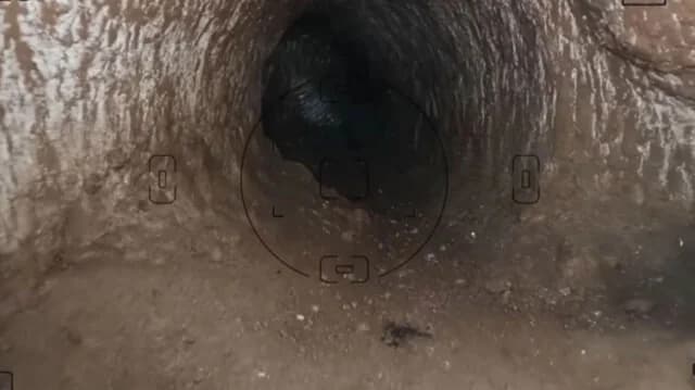 מנהרות עתיקות בדרום אמריקה: האם נוצרו על ידי בעלי חיים?
