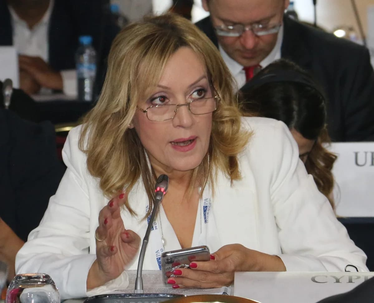 OSCE: La ley de reuniones de Chipre entra en conflicto con los derechos humanos