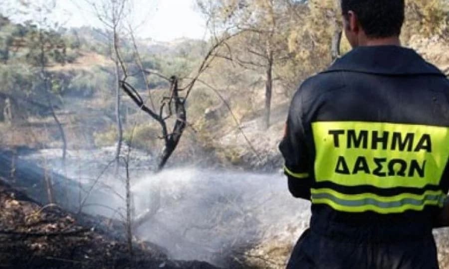 Ανησυχία στο Τμήμα Δασών για μεταφορά αρμοδιοτήτων στο Υπουργείο Εσωτερικών