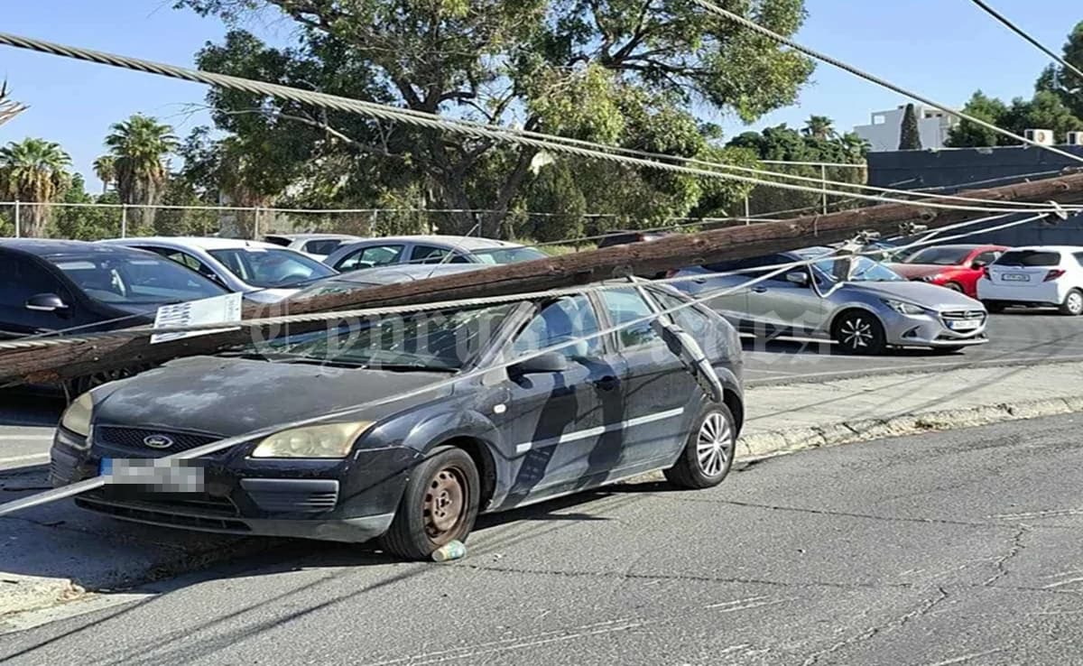 לרנקה: עץ נופל על קווי חשמל, גורם נזק לרכב וגורם להפסקת חשמל