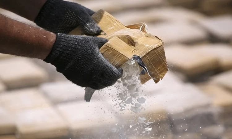 Αύξηση κατασχέσεων ναρκωτικών στην Κύπρο το 2025