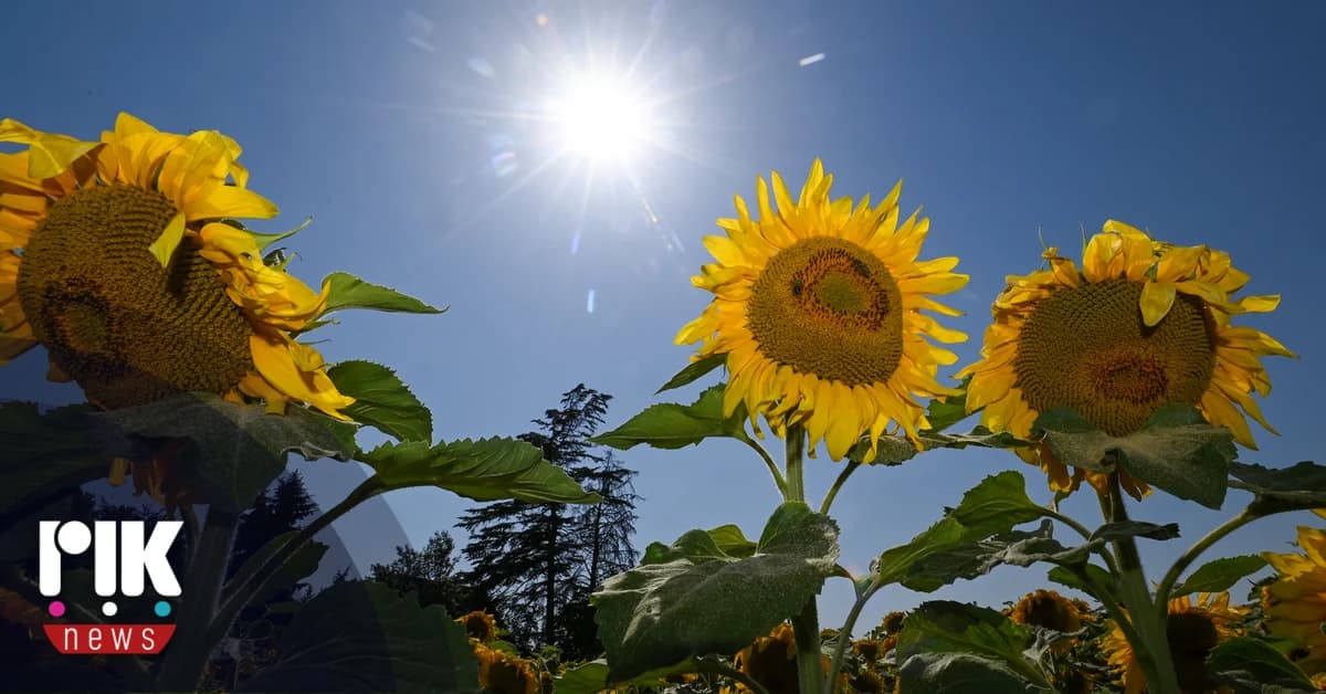 Pronóstico del tiempo: Cielos despejados hasta el miércoles, 20/09/25