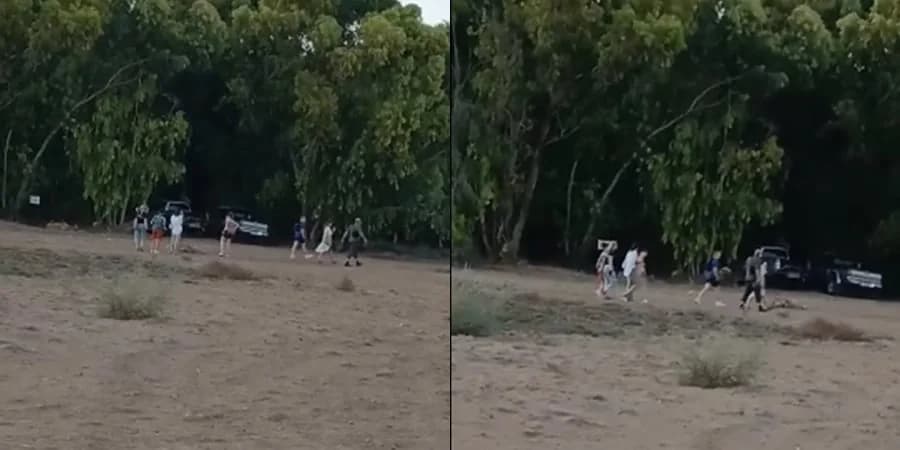 梅内乌附近猎人遭骚扰的投诉
