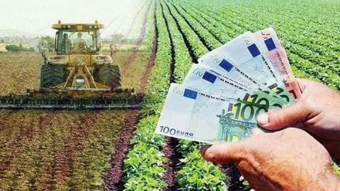 הממשלה אישרה סיוע של 1.5 מיליון אירו לחקלאים שנפגעו ממזג האוויר
