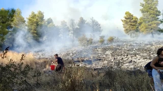Feuer in Agios Onoufrios, Magnesia – Löscharbeiten im Gange