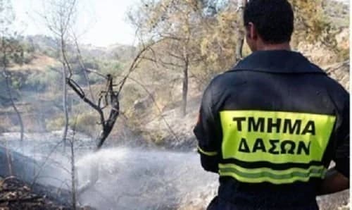 Se Declara Incendio en el Distrito de Nicosia, Cerca de Agia Varvara