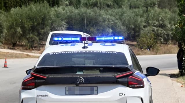 הרקליון, כרתים: צעיר בן 26 נעצר בגין גניבה, החזקת נשק וגניבת בעלי חיים