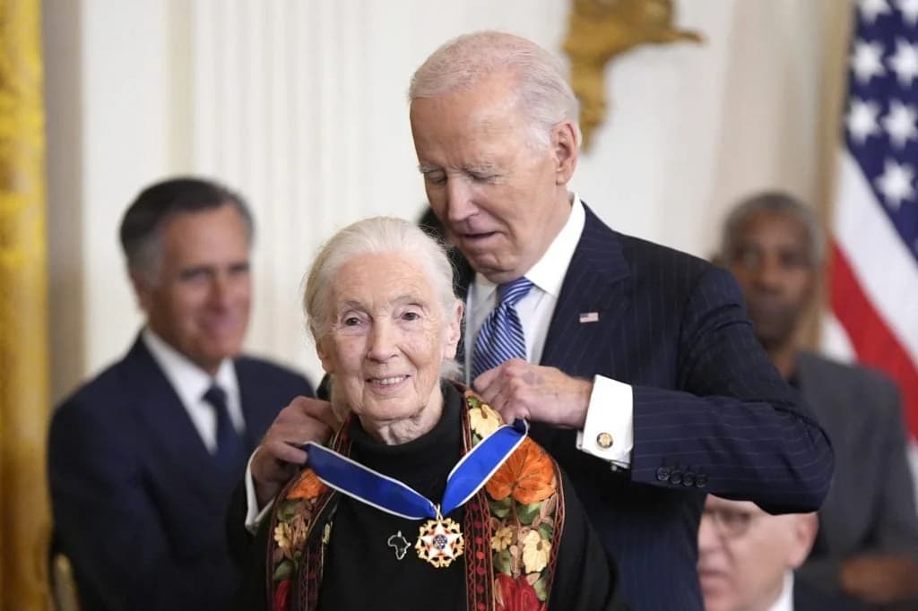 Jane Goodall, bahnbrechende Schimpansenforscherin, stirbt mit 91 Jahren
