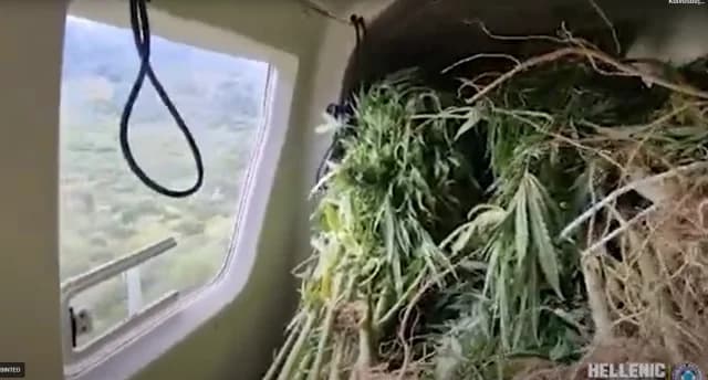 Descubren gran plantación de cannabis en Epiro – Helicóptero en la operación