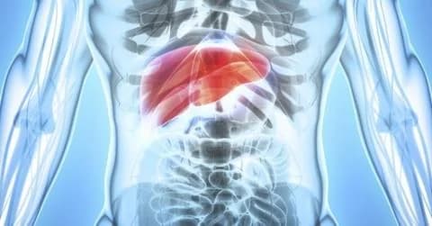 Aumento de casos de cáncer de hígado en Chipre