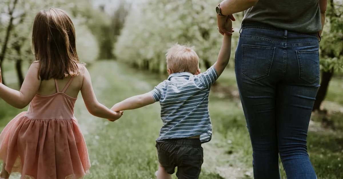 Child Benefit: Reactions to Termination Due to KOAP Subsidies