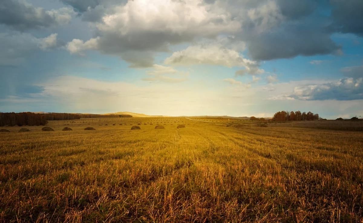 Regierungsunterstützung für Landwirte: Landwirtschaftsministerium