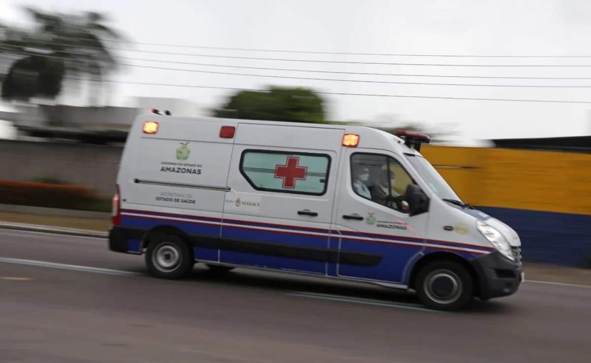 巴西：巴士倾覆事故致15人死亡