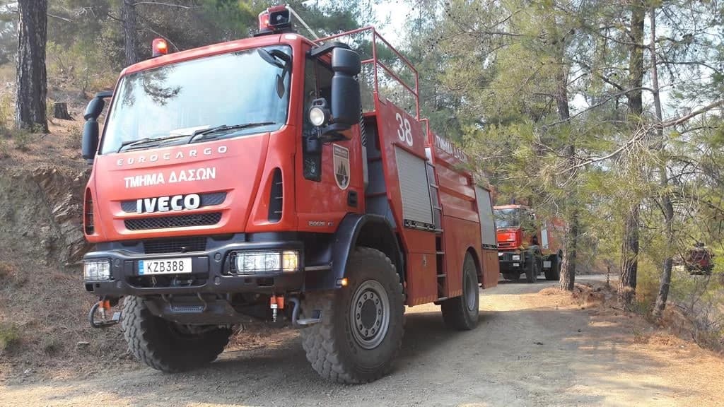 שריפה בפארק אגלנציה נגרמה כתוצאה מחזיז - כובתה על ידי אזרחים