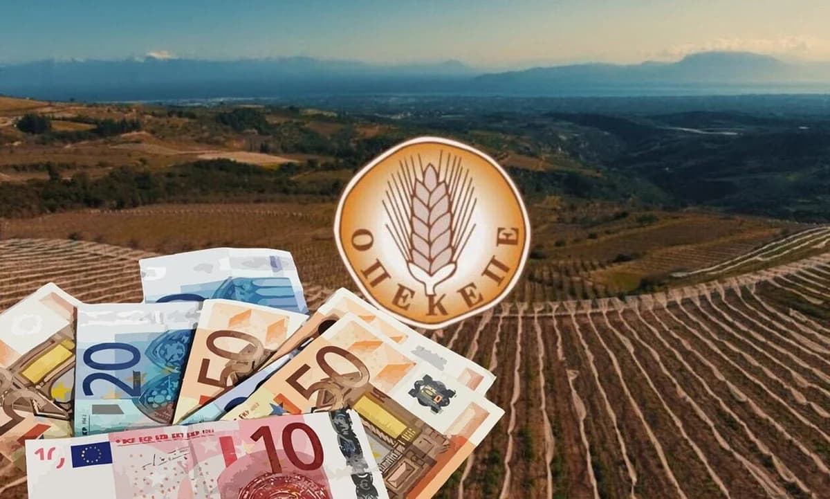 OPEKEPE: מעצר בית לגרושתו של המנהיג לכאורה