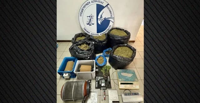 Mesenia: Arresto por Violación de Licencia de Cannabis Industrial