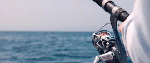 190 καταγγελίες για παραβάσεις αλιείας και €17.392 σε πρόστιμα