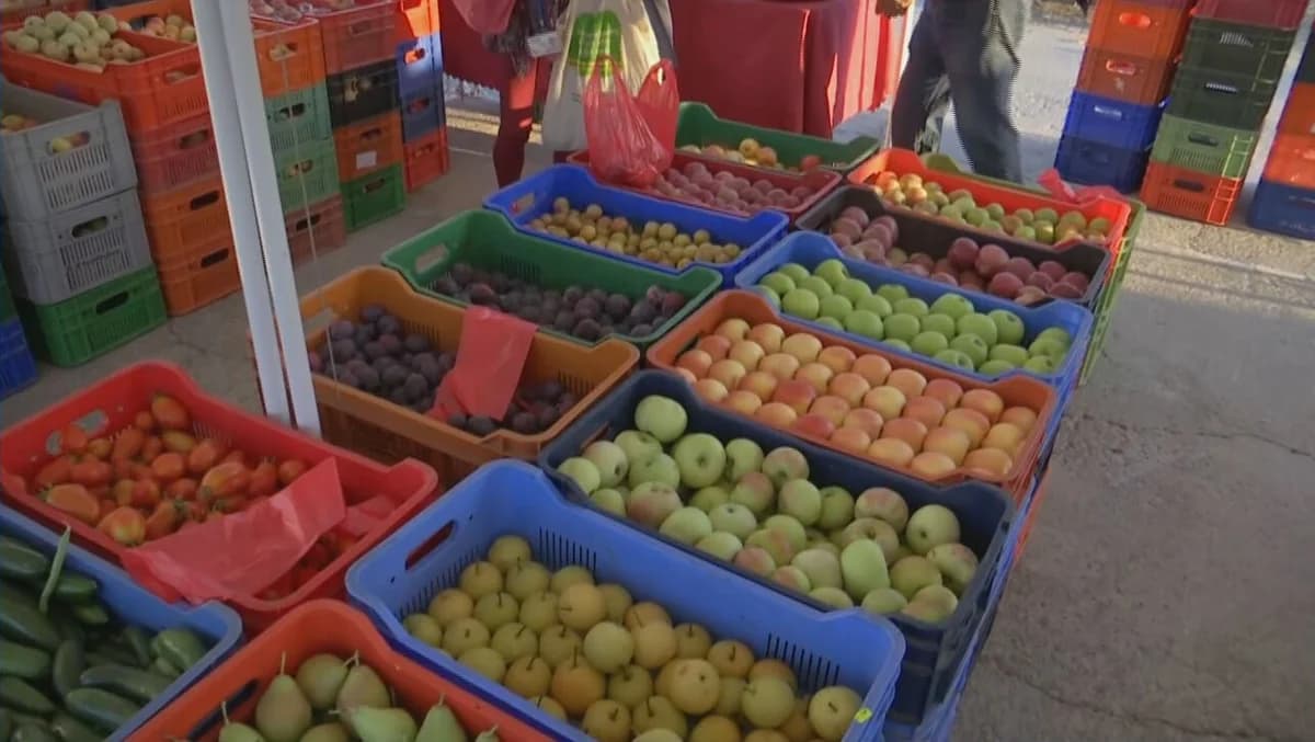 OEB pide aumentar la financiación para inversiones en el procesamiento de productos agrícolas