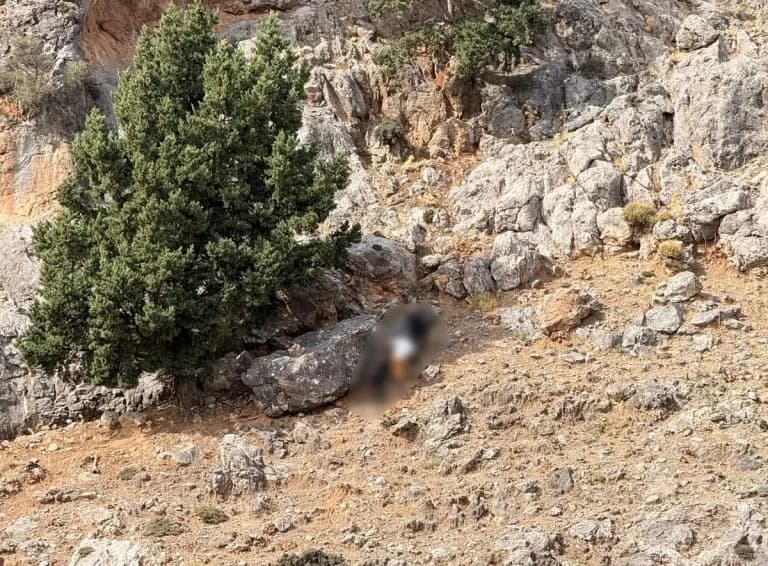 Vorizia: Weapon Search Continues – 9 Arrests Made