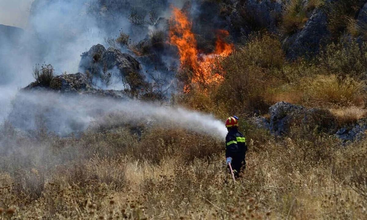 Πυρκαγιά κοντά σε δάσος στην Λάρνακα – Κάηκαν σκουπίδια