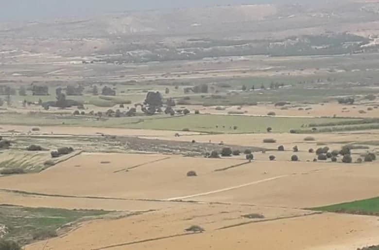 Turkish Actions in Cyprus Buffer Zone: Land Dispute and Farmer Displacement