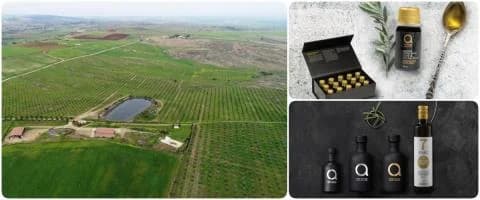 «Atsas Organic Products»: Zypriotisches Olivenöl mit internationaler Anerkennung
