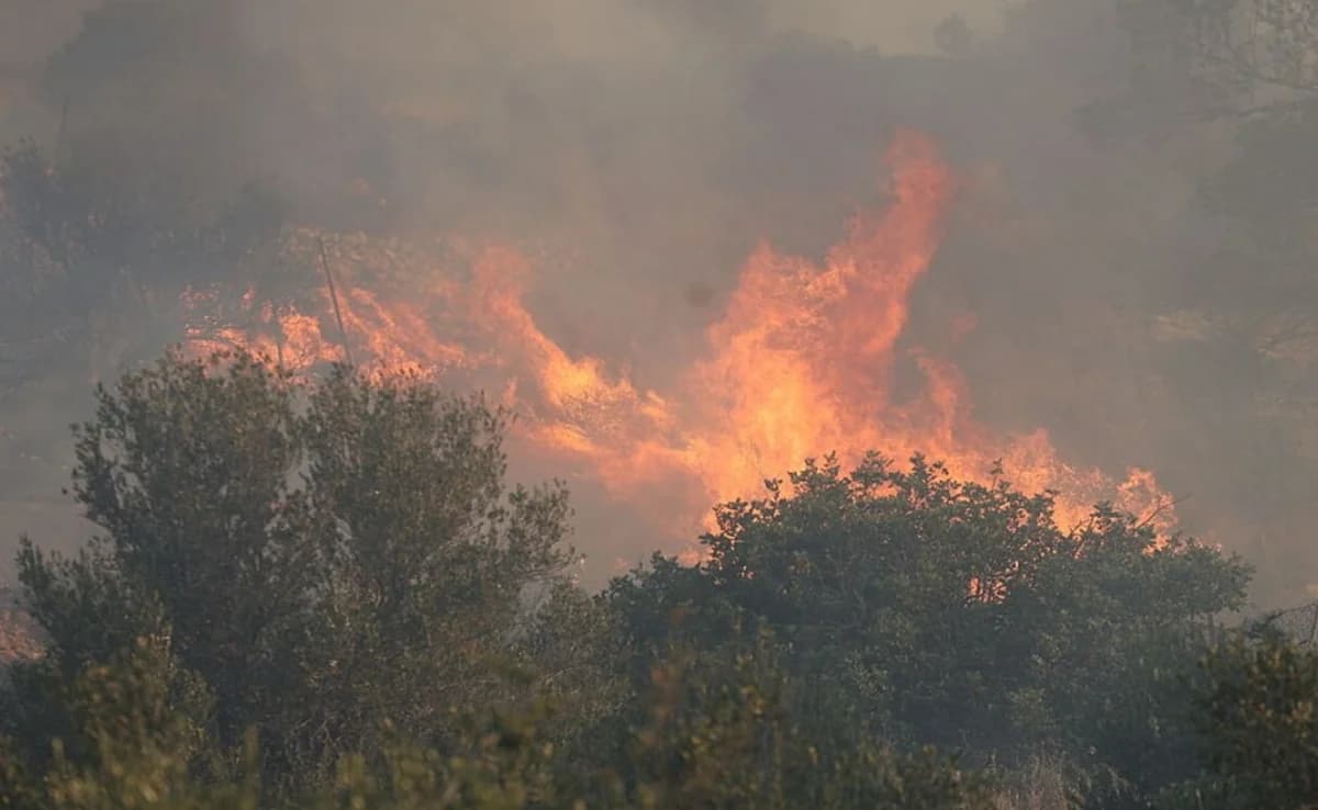 Δασικές πυρκαγιές υπό έλεγχο σε Αγία Βαρβάρα και Αναρίτα, Πάφος