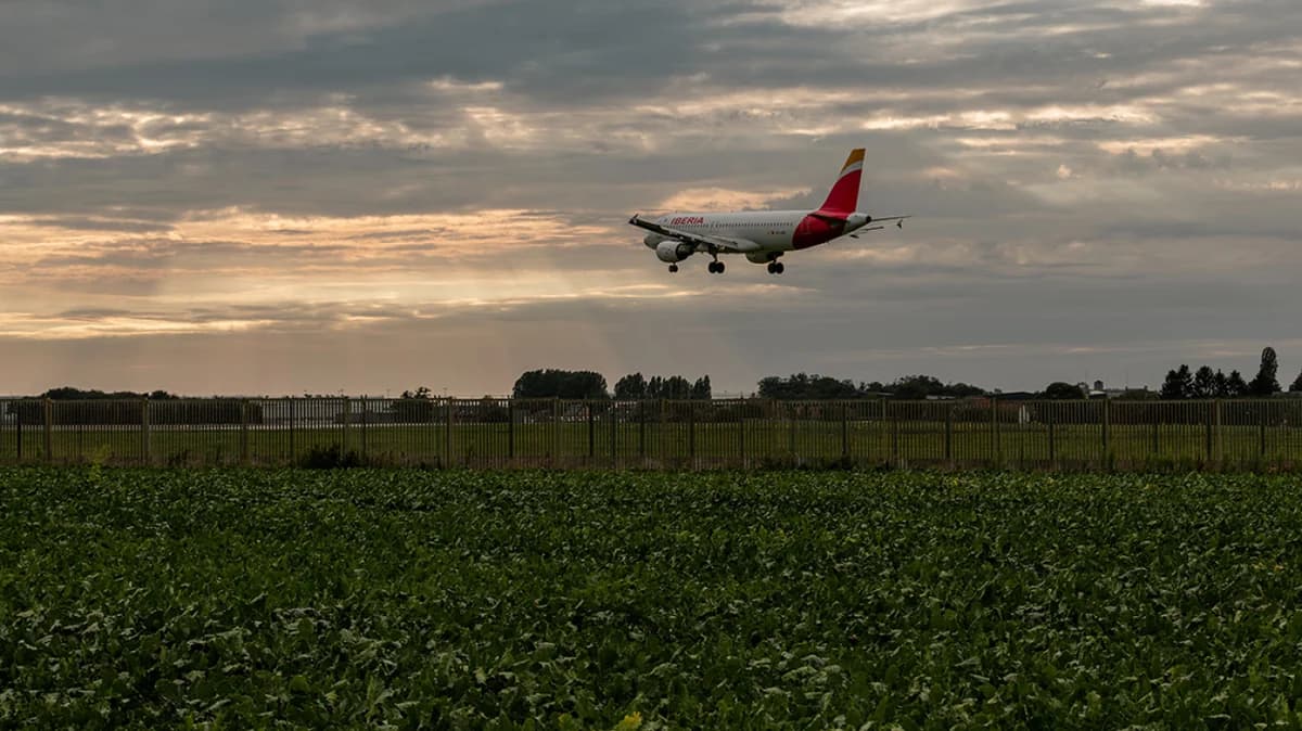Strike Cancels All Departures from Brussels Airport on November 26