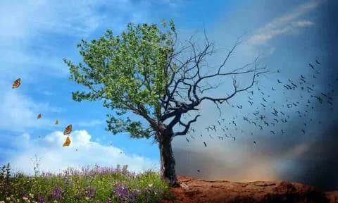 Cyprus: Tourism Ministry Prioritizes Climate Change Adaptation