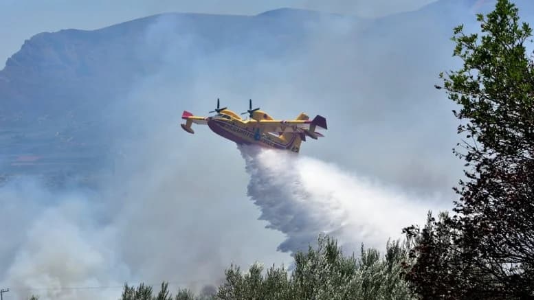Korruptionsuntersuchung bei der Flugzeugleasing für die Brandbekämpfung