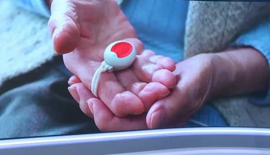 Red Button for the Elderly: Applications Open for Psychologists and Social Workers