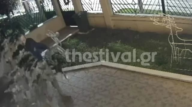 Thessaloniki: Weihnachtsdekoration aus Hausgarten gestohlen – Video