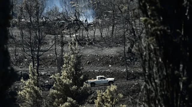 Ελεγκτικό Συνέδριο: Λιγότερες αναδασώσεις από τις προγραμματισμένες