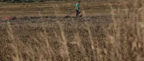 Компенсация фермерам в размере 10,2 млн евро в связи с засухой