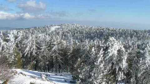 特罗多斯山持续降雪，预计有零星阵雨