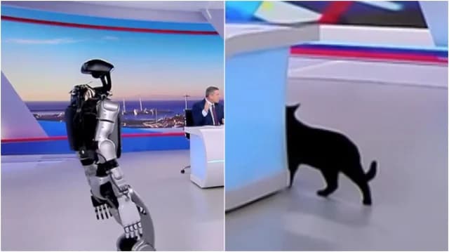 Aufruhr im SKAI-Studio: Roboter Sophia erschreckt Katze der Sendung